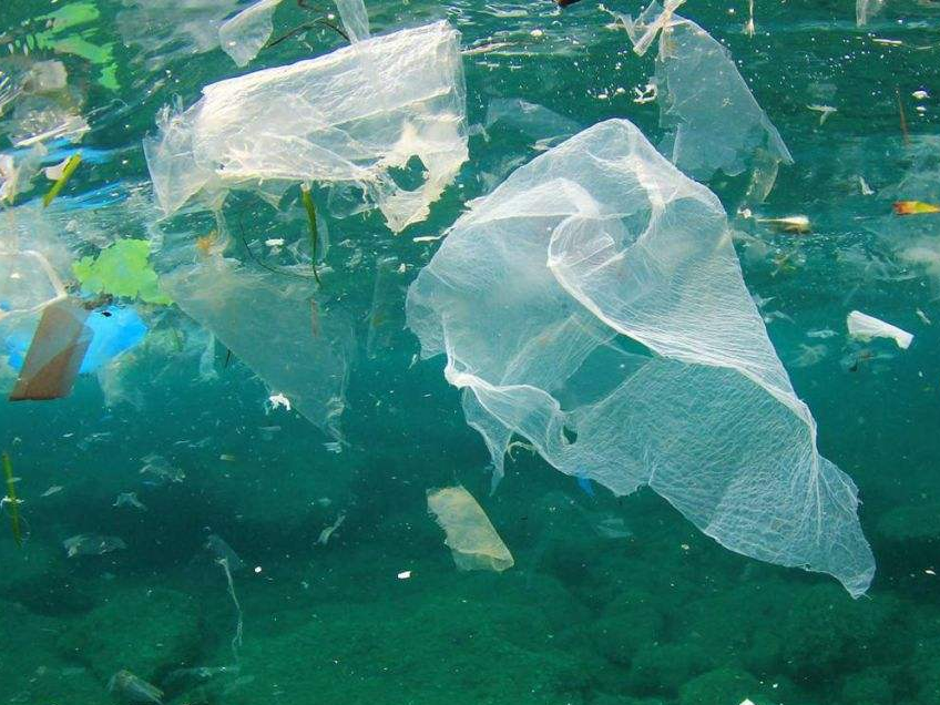 环境 查明深海污染状况,日本首次全面调查深海塑料垃圾