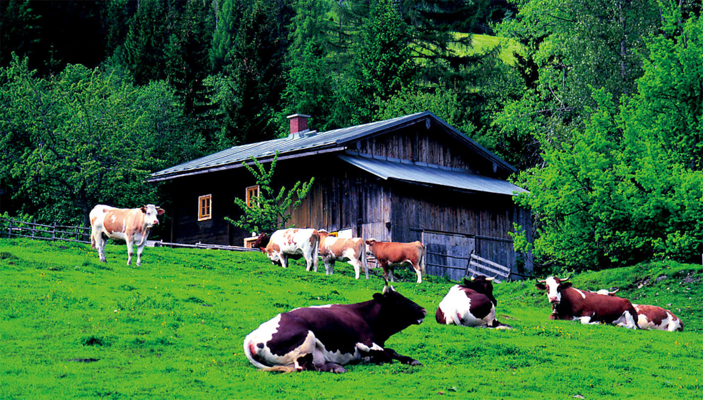 eu to invest 100 million euros in green projects