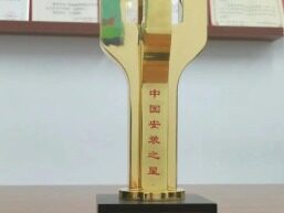 中广核这两个光伏电站获得国家级大奖！