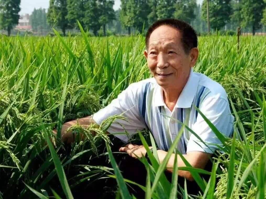 Yuan Longping has made outstanding contributions to global food ...