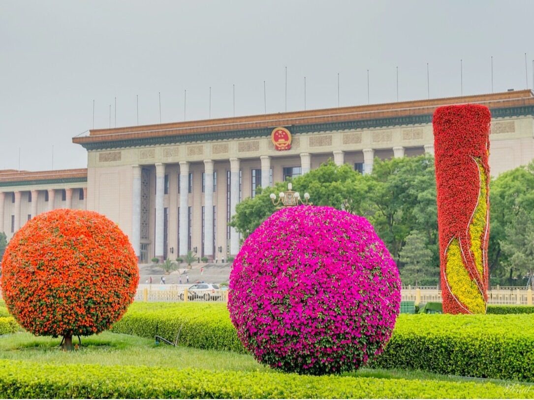 习近平：推动共建一带一路高质量发展，为世界提供新机遇