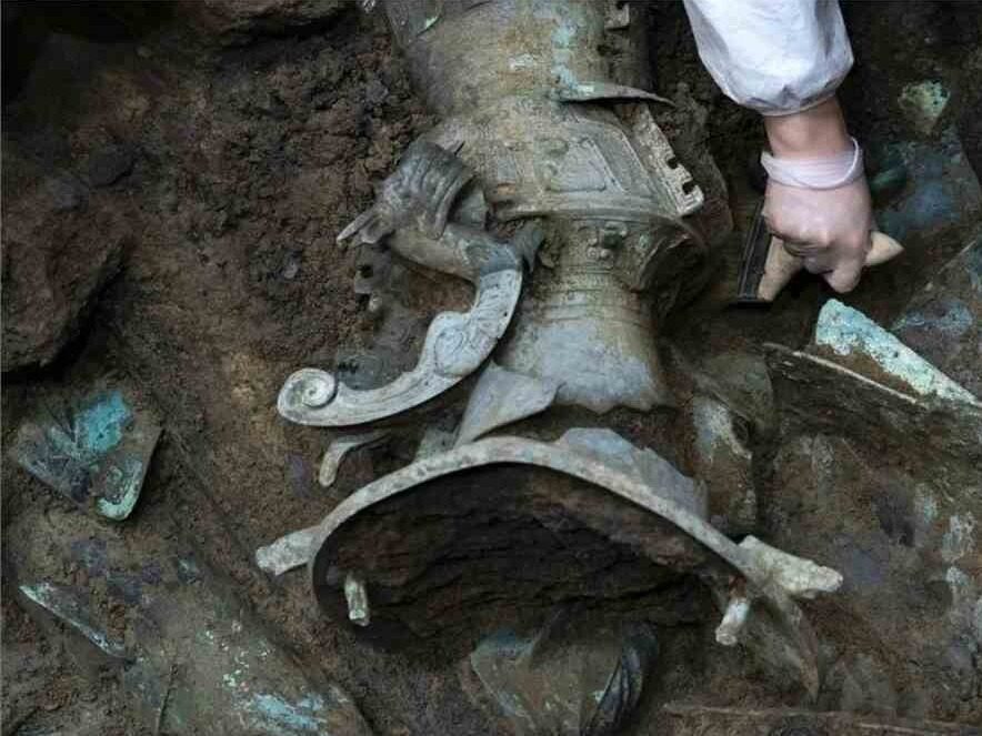 Prehistoric giant shark discovered 290 million years ago in Yangquan,  Shanxi--Seetao