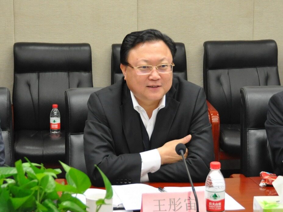 中交集团王彤宙:坚决当好国民经济发展的稳定器压舱石--见道网