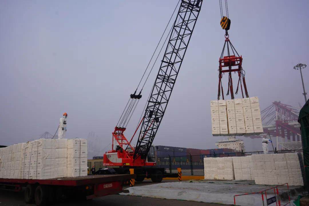 Qingdao Port Successfully Berthed The World s Largest Pulp Deadweight qingdao-port-successfully-berthed-the-world-s-largest-pulp-deadweight