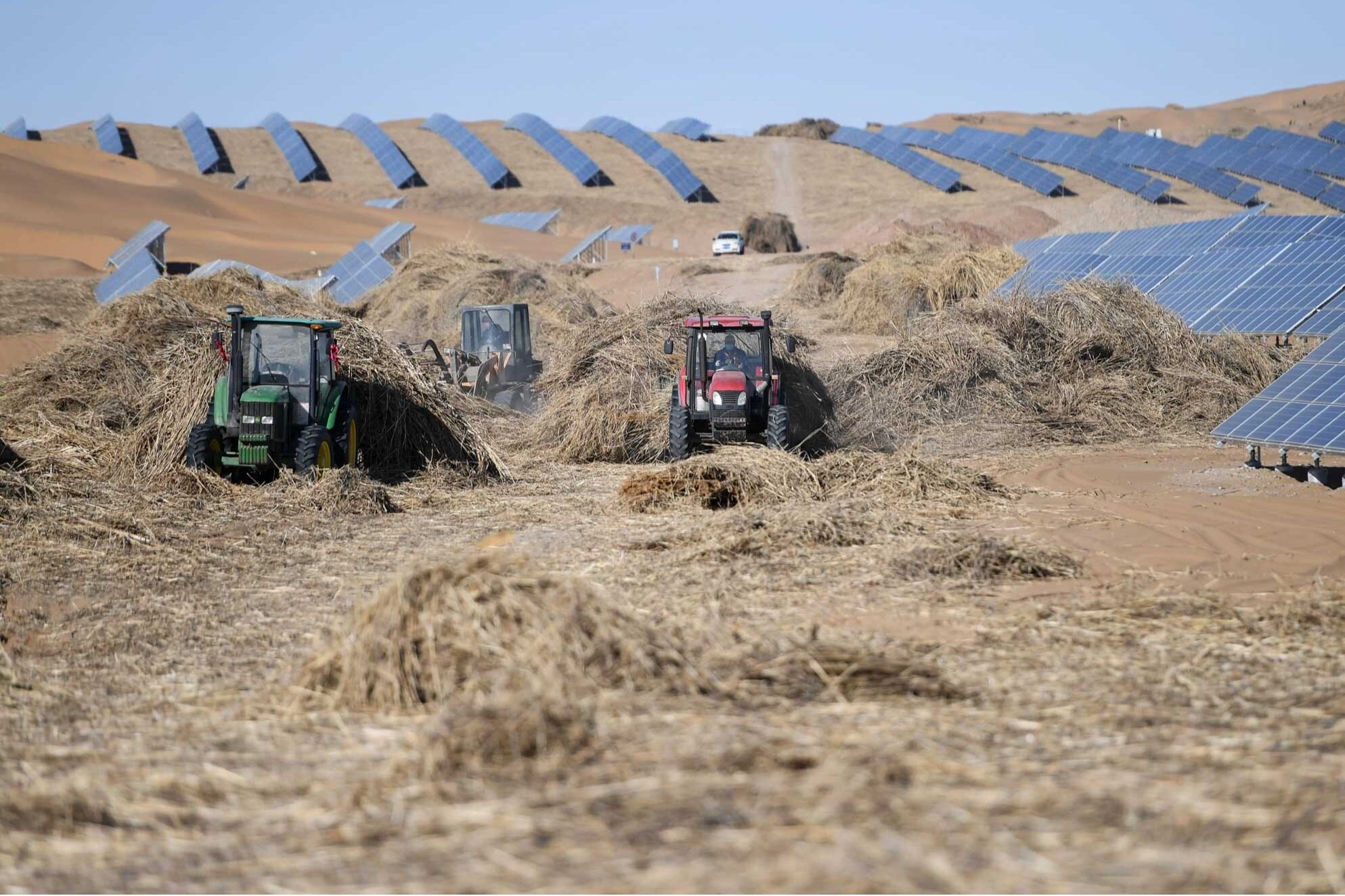 The Kubuqi Desert Is Green And Rich!--Seetao