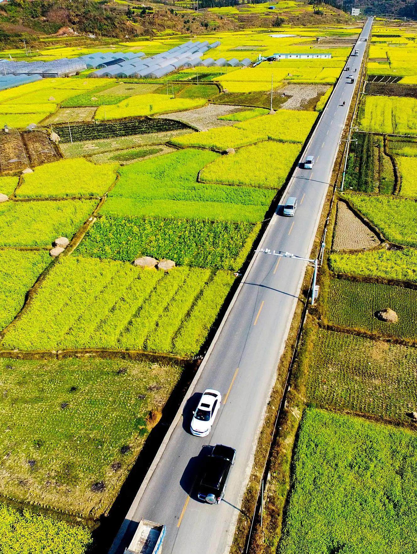 期待！广西南宁新增3条国家高速公路，计划于2022年内开工--见道网