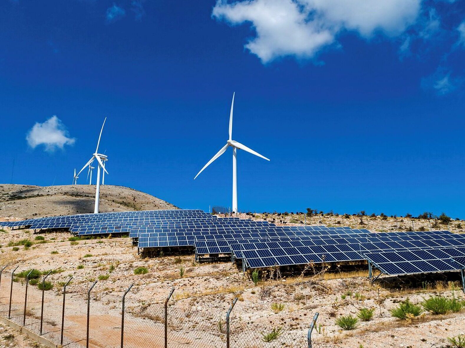 Greece passes renewable energy law, targets 15GW of new capacity by ...