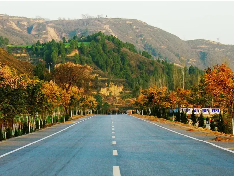 陕西路桥联合体中标210国道西安过境下大寨至侯官寨公路项目8小时前