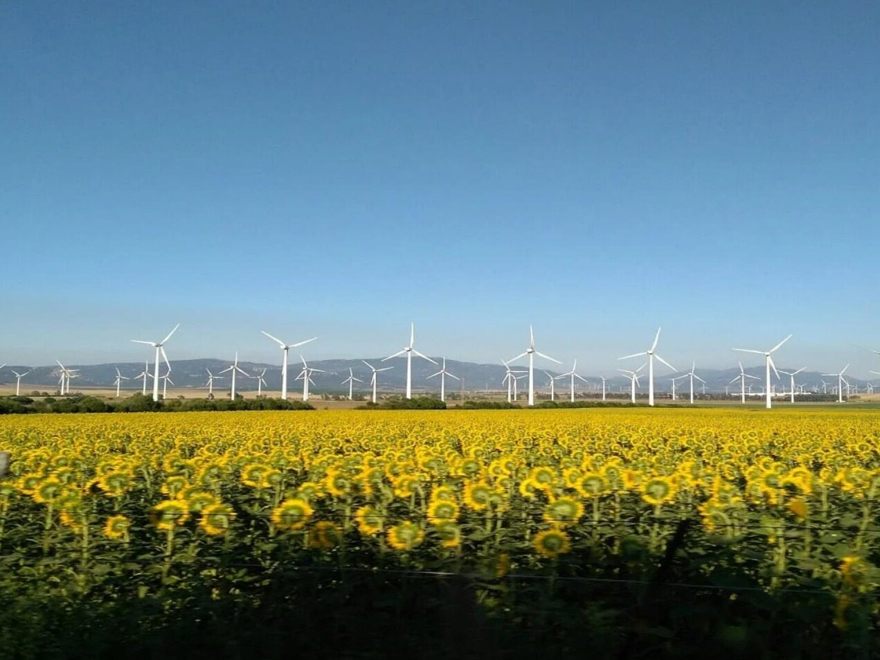 1 8GW CIP And Viviid To Develop Renewable Energy Projects In India Seetao