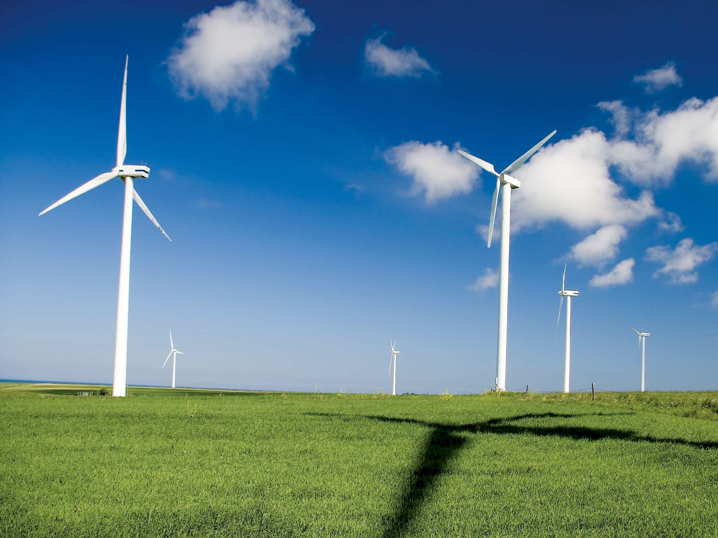 300MW! New Large-scale Centralized Wind Power Project In Mudanjiang ...