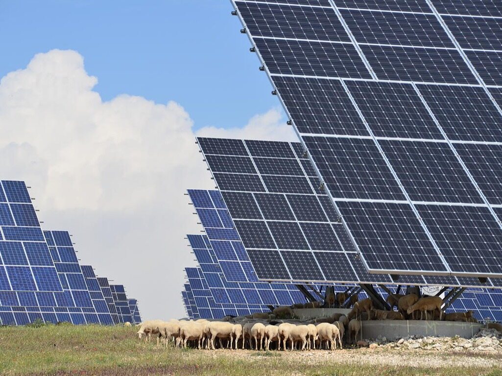 Solar power is beating coal for the first time in Europe--Seetao