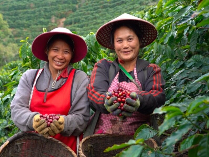 yunnan-sino-foreign-cultural-exchange-brought-by-coffee-seetao