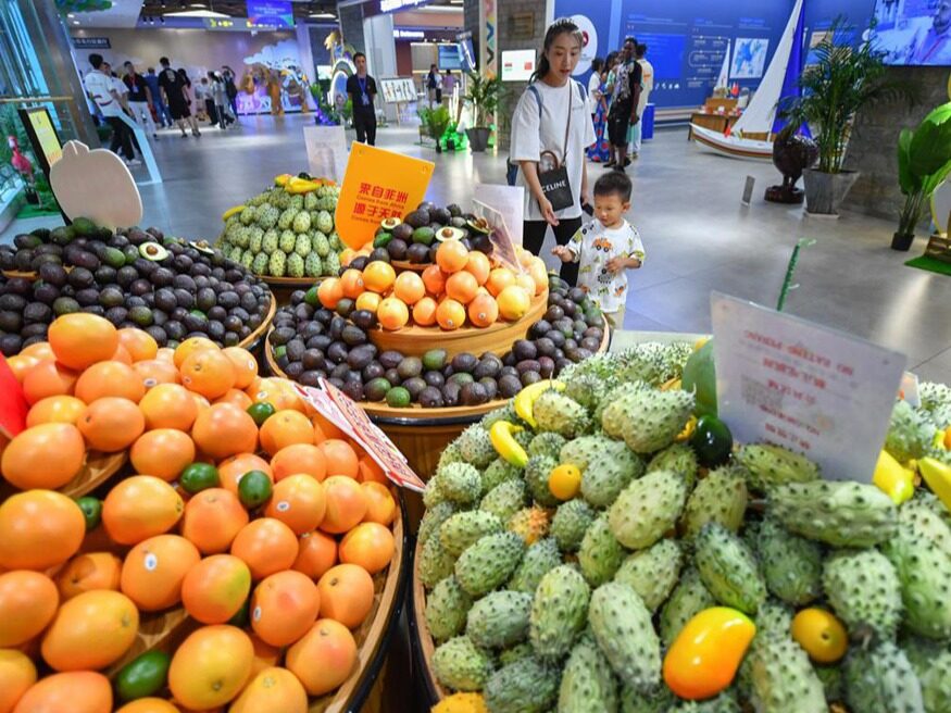 The Belt And Road African Flowers And Coffee In The Chinese Market Seetao the-belt-and-road-african-flowers-and-coffee-in-the-chinese-market-seetao