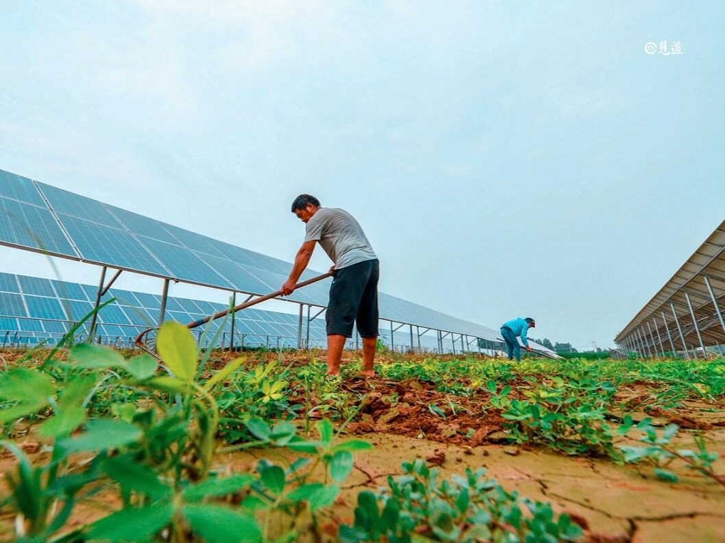 zhejiang-longquan-lake-yangyang-shed-base-photovoltaic-project