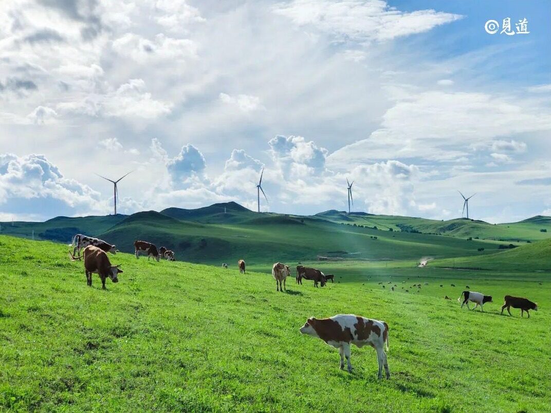 The xing an league wind power project of cgn has been put into