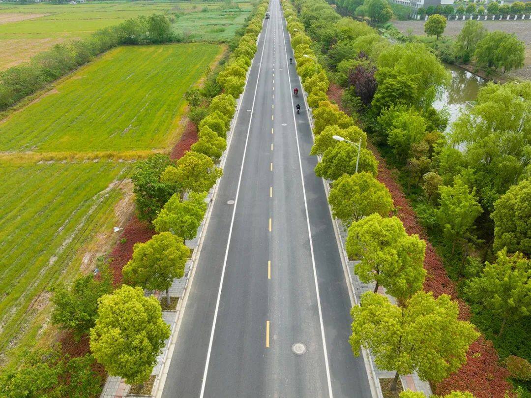推进公路提档升级，共同铺就幸福路，青浦这个街道2365米农村公路完成改造并通车！_绿色青浦_新民网