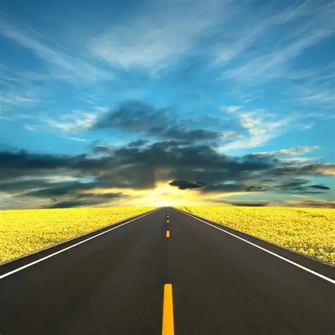 路边的七叶树壁纸 1920x1080-壁纸高清