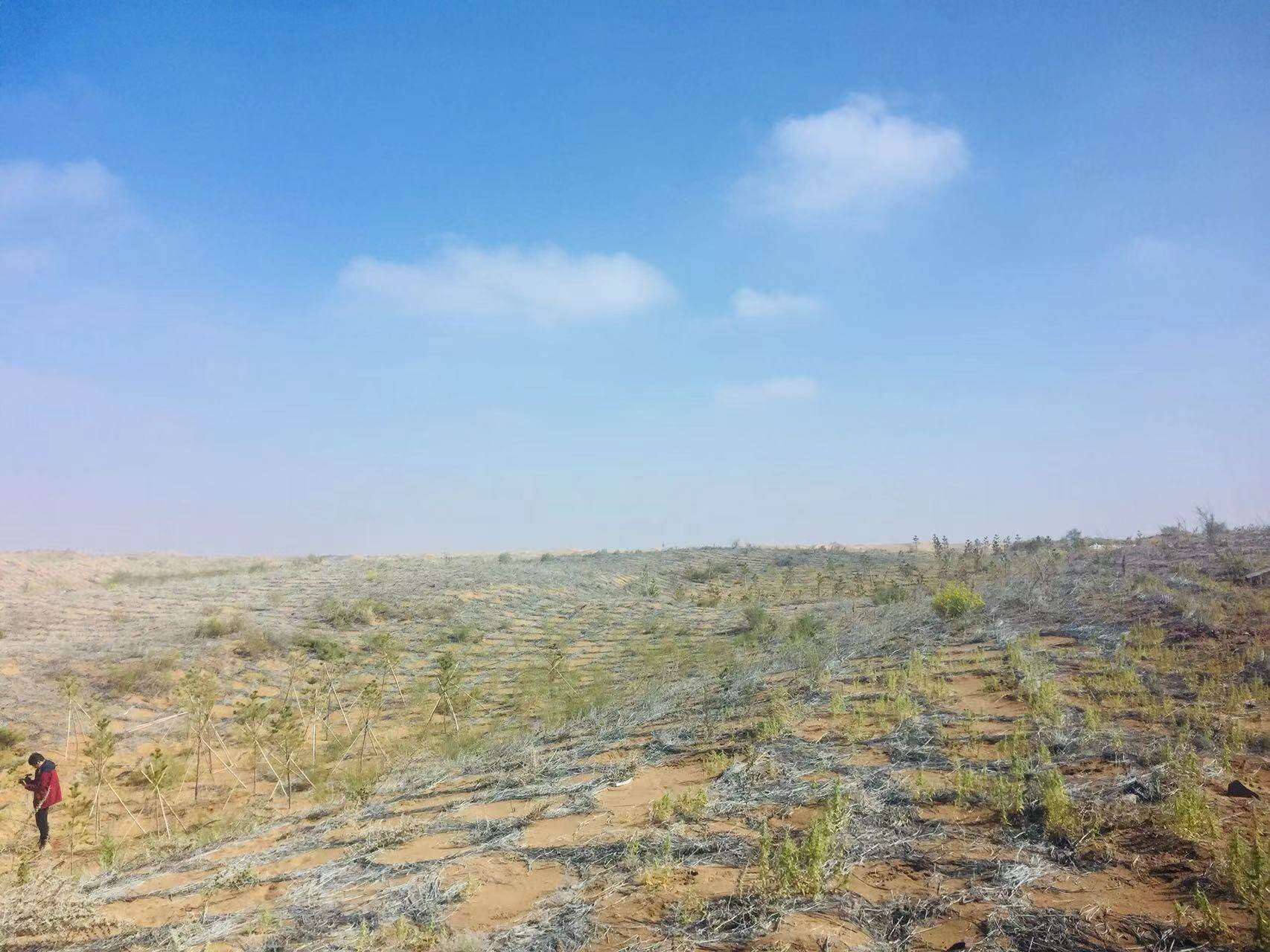 宁夏 “治沙魔方”升级版 “优解”荒漠化防治难题-宁夏新闻网